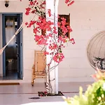 Ecovilla Haleakala Con Piscina Y Sauna Privadas